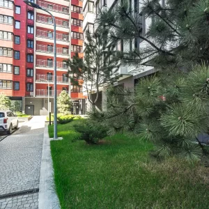Соколова 68