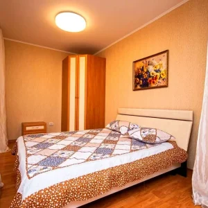 Квартира на Красноармейской 7 посуточно