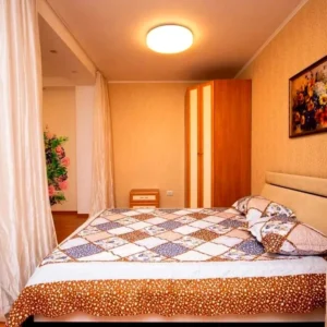 Квартира на Красноармейской 7 посуточно